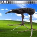 DAMN