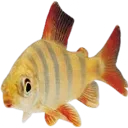 J_