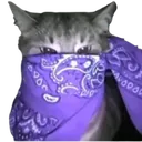 violetbandanacat