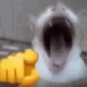 pointandlaugh pointandlaugh