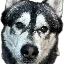 odin