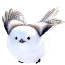 beeper