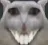 catxd