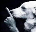 shhhhh