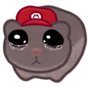 sadhampter
