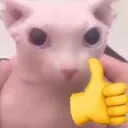 bingus_thumbs_up