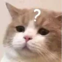 confused_lord_6th