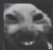 oxygen_khikhi