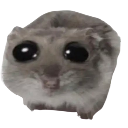 :sadhamster: