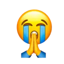 bro