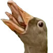 hiss