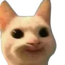 cat_chuckle