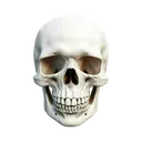 c1h6_skull8k