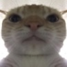 uh Discord Emoji | ☯𝗗𝗥𝗘𝗔𝗠𝗟𝗔𝗡𝗗☯