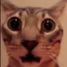 chock