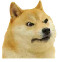 angry_dog