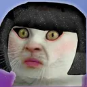 PS_CatSmashedFaceGirl