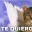 tequiero