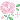 pinkrose