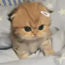 Angry