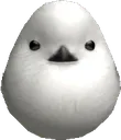 Birb