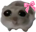 sadhamster Discord sticker from ☯𝗗𝗥𝗘𝗔𝗠𝗟𝗔𝗡𝗗☯