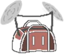 gymBag