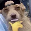 aha