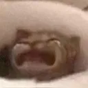 emoji_11