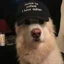 721f70db12caac7e0cf9f9e33b9887c9