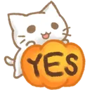 CAT_YES