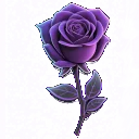 koko_rose