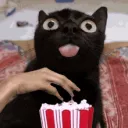 PopcornCat5