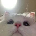 z_ee Discord sticker from Lemniscate Network