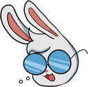 RabbitCool_floppaa Discord emoji