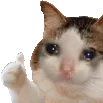 emoji_385