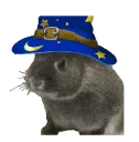 gregsplode