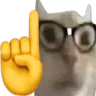 catnerd