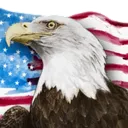:americaeagleq: