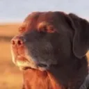 y_lordgivemestrength