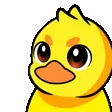 DuckSalute