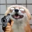shut