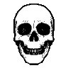 noobsskull