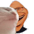 susmaniacatjam