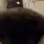 UN_BigSniffa