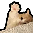 cattWAVE