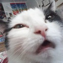 cat_weed_Dot_GG_femboiss Discord sticker from Femboy Order・Femboys・Furries・LGBTQ・Roblox ・Tomboys ・Gay・Femboy Tag・Gay Tag・Twink Tag・Minecraft