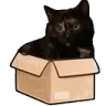 nudelbox