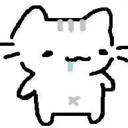 catdrool