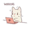cs_working